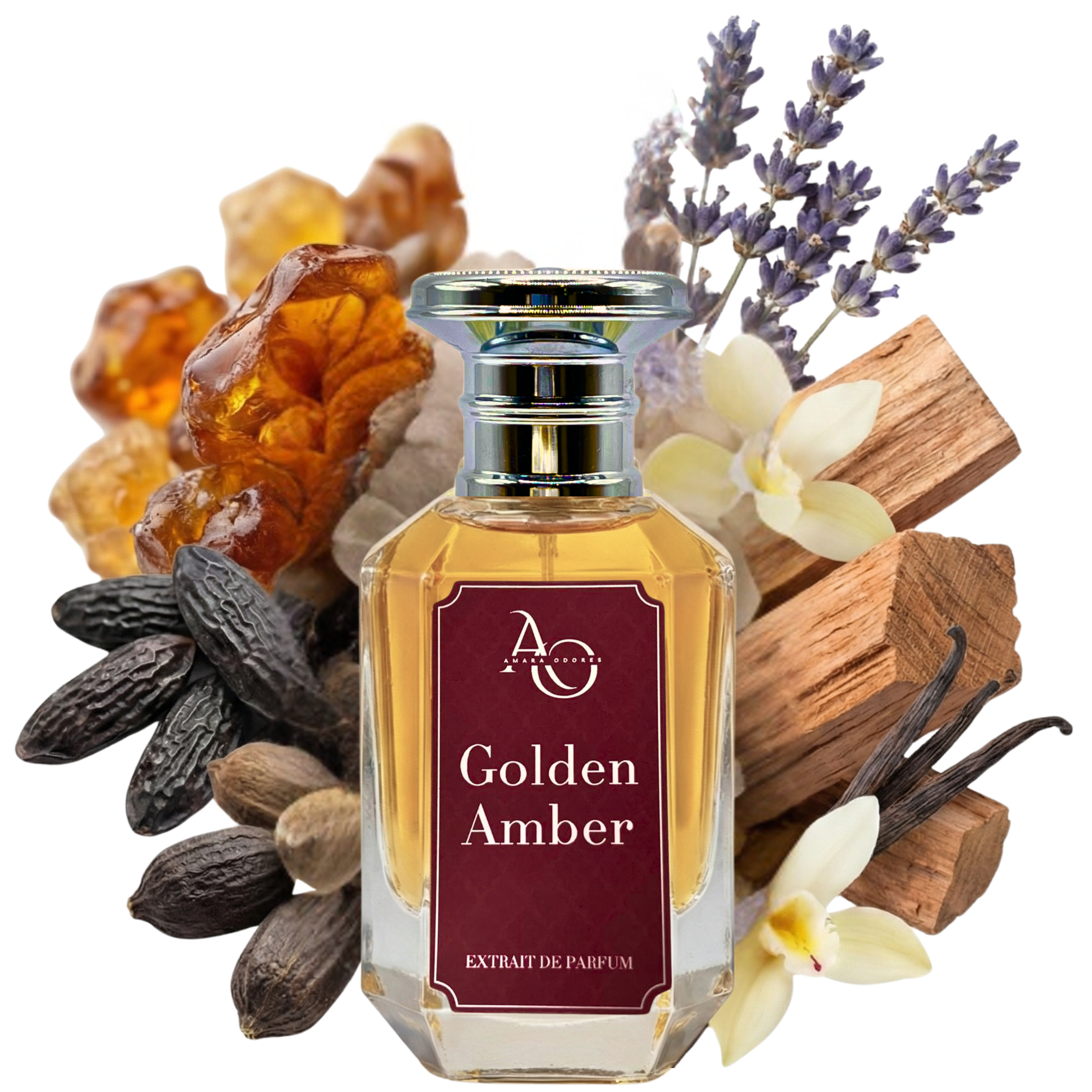 Golden Amber - Amara Odores